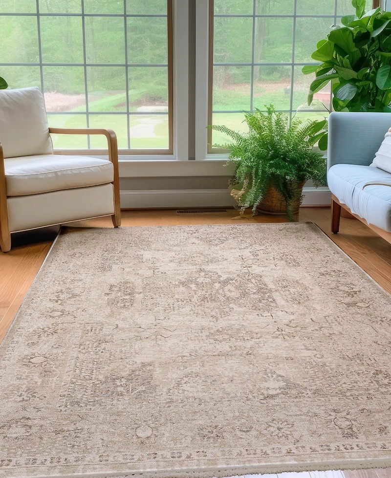 Dalyn Cyprus CY3 5'x7'10 Area Rug