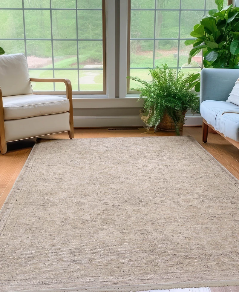 Dalyn Cyprus CY10 2'3x7'10 Runner Area Rug