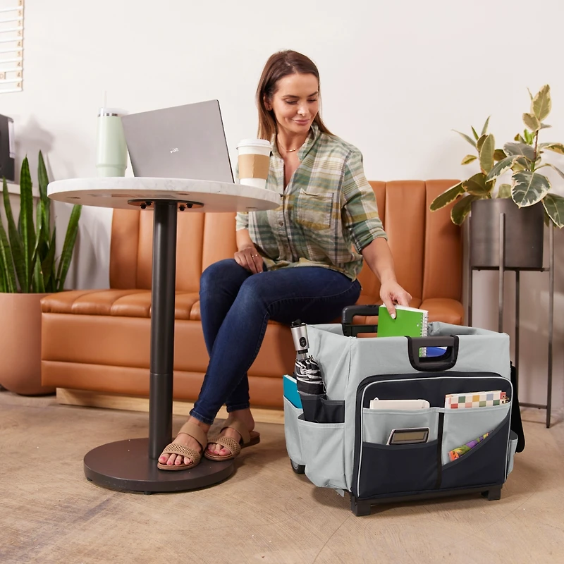 ECR4Kids Universal Rolling Cart with Canvas Organizer Bag, Black