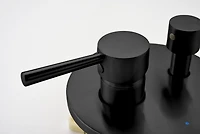 Wall Mounted Shower System with High Pressure 10" Rain Shower