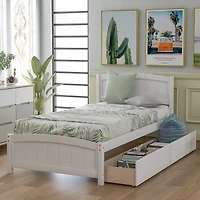 Streamdale Twin Platform Bed With Two Drawers