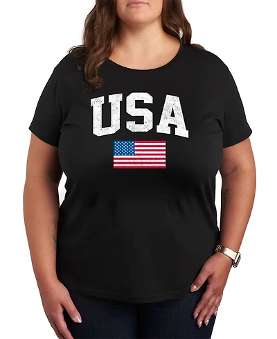 Hybrid Apparel Usa Flag Plus Graphic T-Shirt