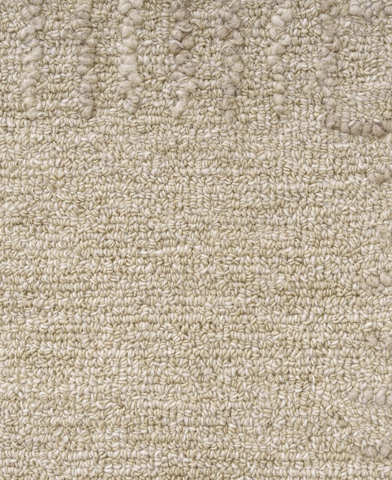 Lr Home Hadley 2'6"x8' Runner Area Rug