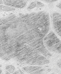 Addison Chantille Machine Washable ACN682 2'6"x3'10" Area Rug