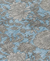 Addison Chantille Machine Washable ACN677 3'x5' Area Rug