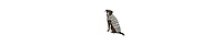Chilly Dog Silver Alpaca Fairisle Dog Sweater