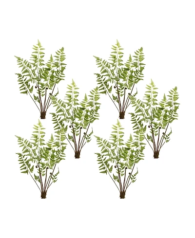 Slickblue Varigated Fern Bundle With Sprout Accents (Set of 6)