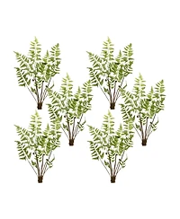 Slickblue Varigated Fern Bundle With Sprout Accents (Set of 6)