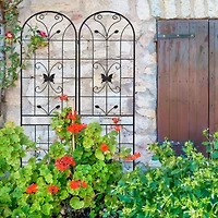 Extendable Garden Trellises 80" Tall, Rust-Resistant, Supports Vines & Climbing Plants