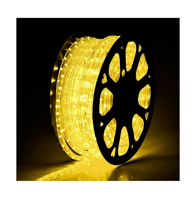 DELight 150' 2 Wire Led Rope Light Home In/Outdoor Party Xmas Lighting