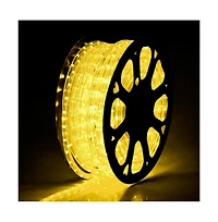 DELight 150' 2 Wire Led Rope Light Home In/Outdoor Party Xmas Lighting