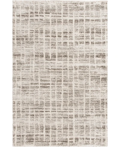 Mink Home Leisure Coast 5'3"x7'7" Area Rug