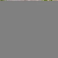 Streamdale Acacia Wood Outdoor Bistro Table With X-Base