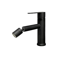 Stainless Steel Single-Handle Bathroom Sink Faucet