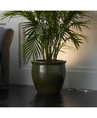 Pro Track Can Mini Uplighting Indoor Accent Spot-Light Plug-In Floor Plant Home Decorative Art Desk White Finish 6 1/2" High