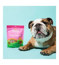 Ava's Pet Palace Freeze-Dried Turkey Poppers Dog Treats – Healthy, Low-Calorie and Nutrient-Rich Snacks