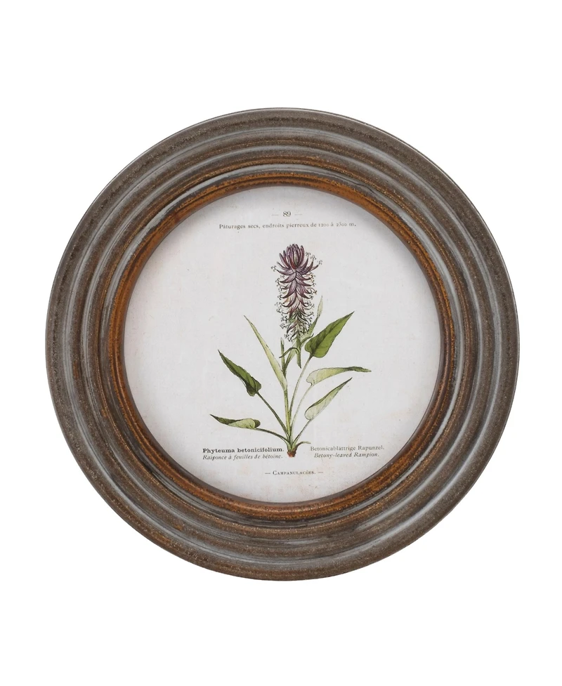 Slickblue Framed Floral Print (Set of 6) 9.5"D Wood/Mdf/Glass