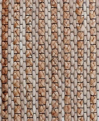 Lr Home Savannah Dn-424 2'x3' Area Rug