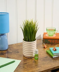 Lifelines Grass Plant Diffuser