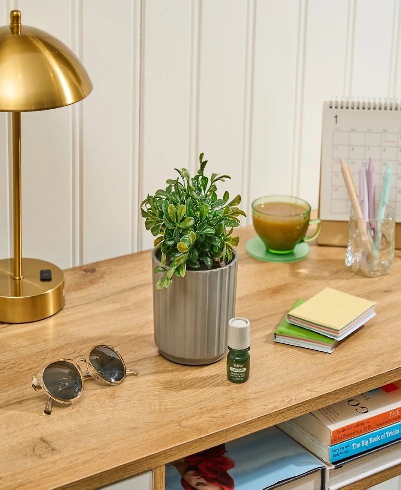 Lifelines Boxwood Plant Diffuser