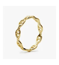 Ana Luisa Anchor Chain Ring - Iver