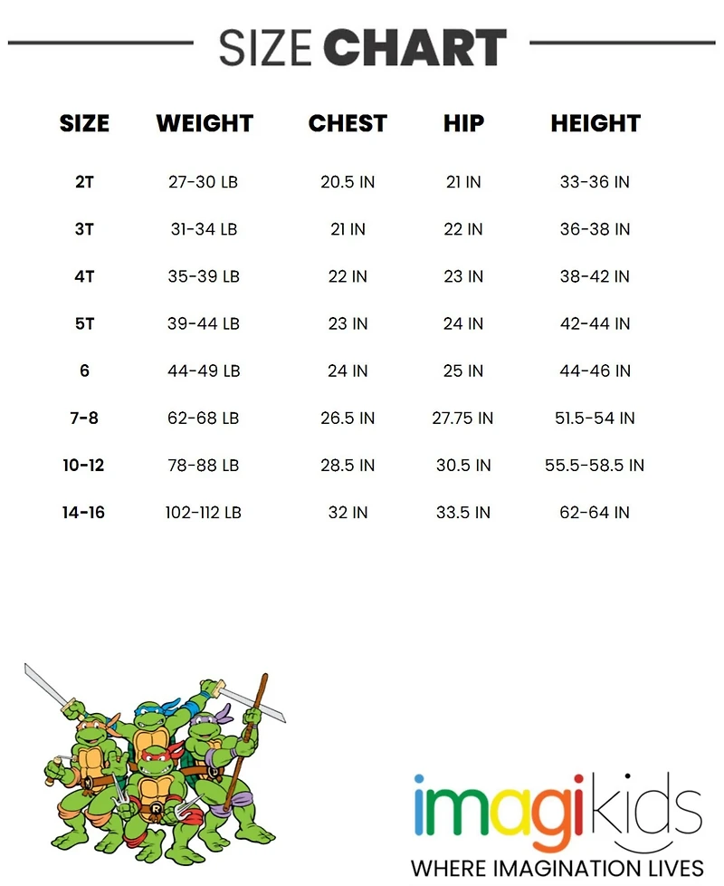 Teenage Mutant Ninja Turtles Leonardo Michelangelo Raphael Donatello 4 Pack T-Shirts Toddler to Big Kid
