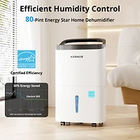 80 Pint Energy Star Dehumidifier for Basement & Large Room with Self Drying Mode