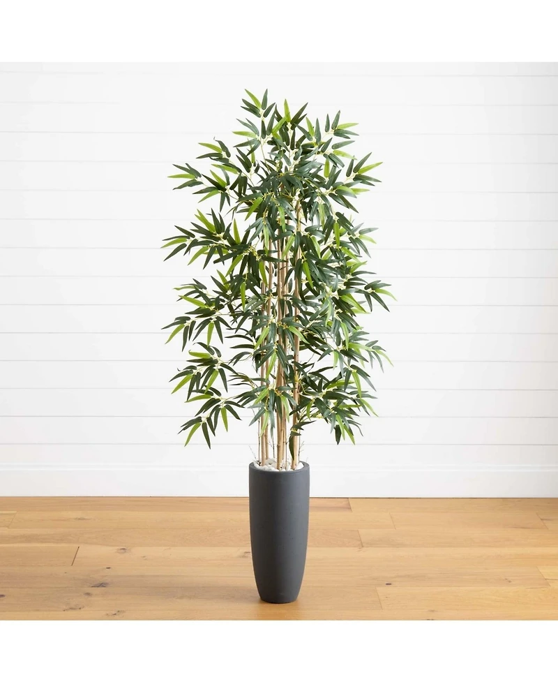 Slickblue Cane Tree Cylinder Planter – Sleek Indoor/Outdoor Plant for Modern Decor