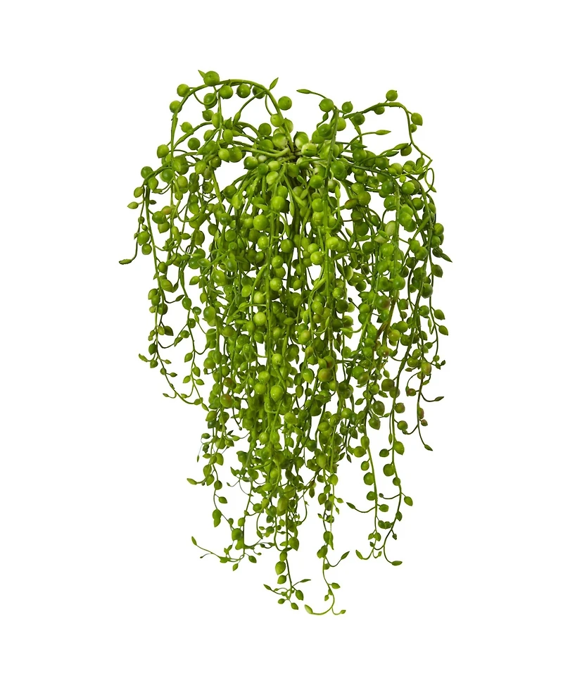 Slickblue Senecio Succulent for Modern and Drought Tolerant Decor (Set of 3)