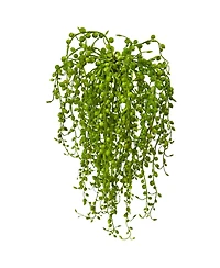 Slickblue Senecio Succulent for Modern and Drought Tolerant Decor (Set of 3)