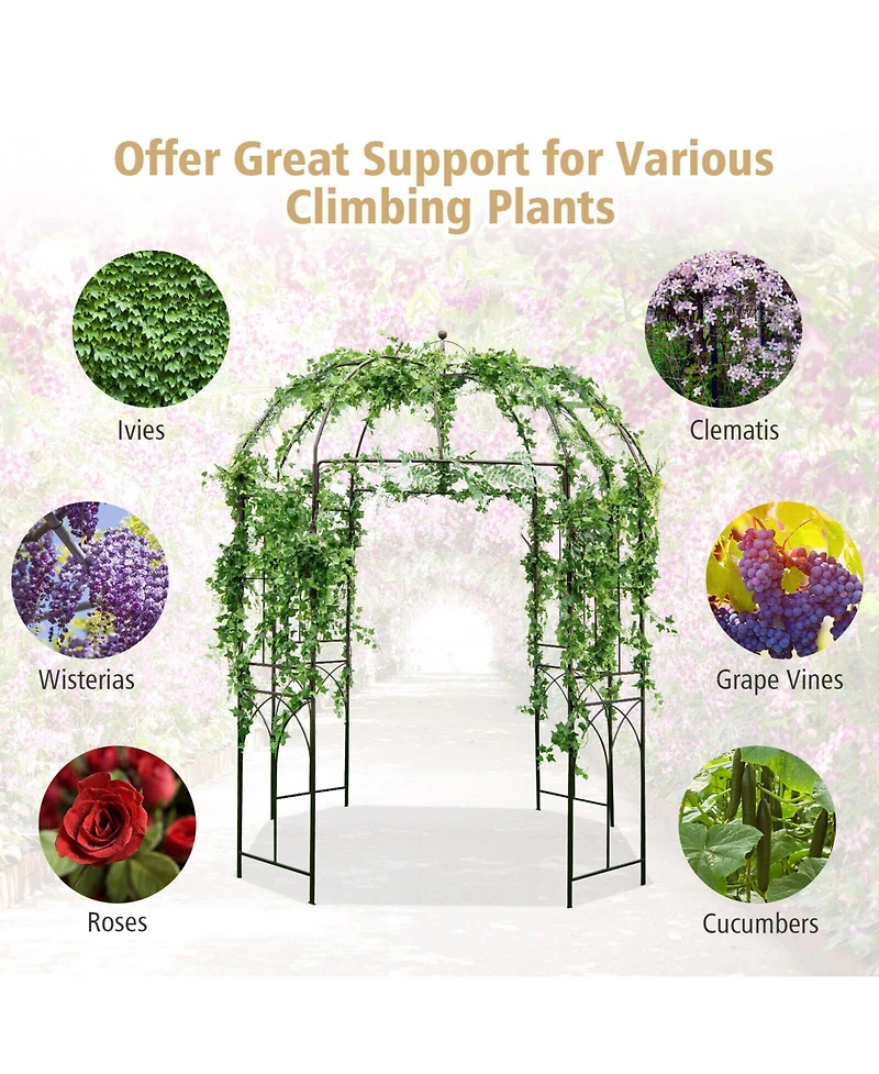 Skonyon 8.4 x 7 Feet Wide Birdcage Shape Garden Arbor