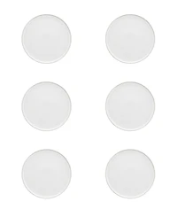 Fortessa Nivo Dinner Plates, Set of 6
