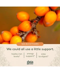 Gaia Herbs Plant Force Liquid Iron - Vegetarian Iron Supplement to Help Maintain Healthy Iron & Energy Levels