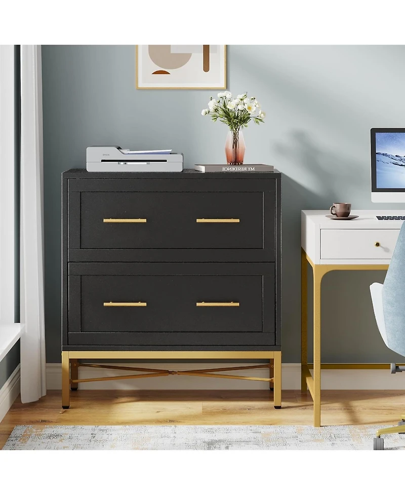 Tribesigns 2 Drawer File Cabinet, Modern Lateral Filing Cabinet for Letter/Legal/A4 Size, Large Storage Cabinets Printer Stand with