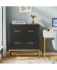 Tribesigns 2 Drawer File Cabinet, Modern Lateral Filing Cabinet for Letter/Legal/A4 Size, Large Storage Cabinets Printer Stand with