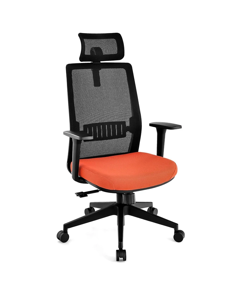Sugift Ergonomic Office Chair with Lumbar Support and Adjustable Headrest