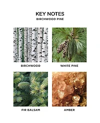 Nest New York 2-Pc. Birchwood Pine Wall Diffuser Set