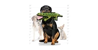 Tuffy Ocean Alligator & Hammer Head Shark - Combo Pack, Durable Dog Toys