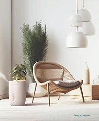 HoMedics Warm Cool Mist Humidifier with Small Planter