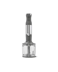 Ge Immersion Blender & Accessory Kit