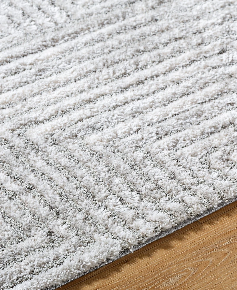 Livabliss Delight Shag Del-2309 5'3"x7' Area Rug