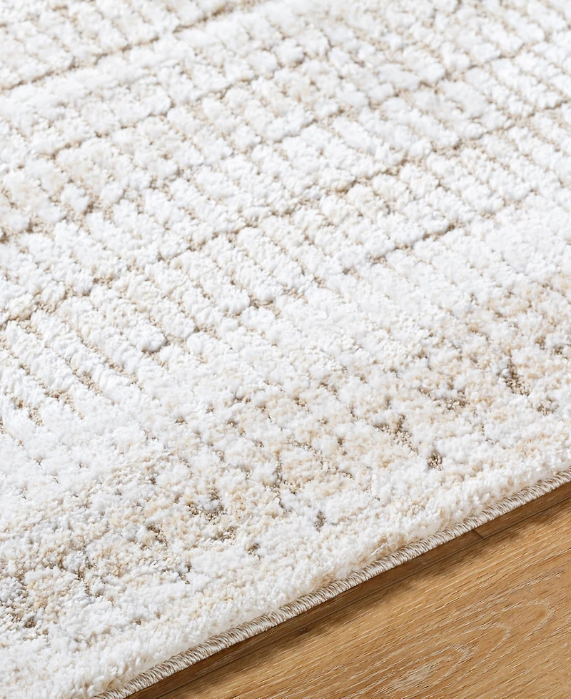 Livabliss Delight Shag Del-2302 5'3"x7' Area Rug