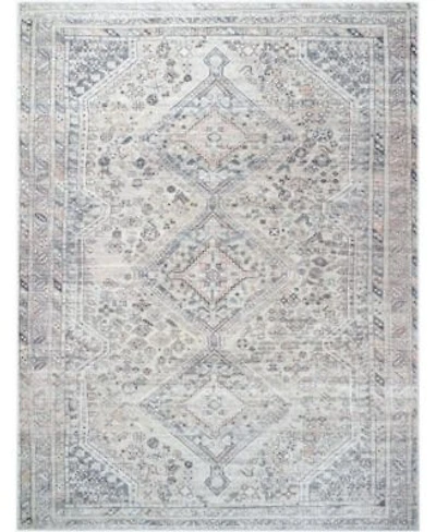 Livabliss Eleni Vvel 2301 Rug Collection