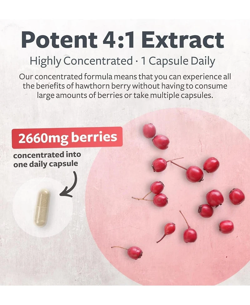 Healths Harmony Hawthorn Berry Capsules, Cardiovascular and Immune Health, 4:1 Extract, Health's Harmony, 120ct