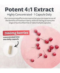 Healths Harmony Hawthorn Berry Capsules, Cardiovascular and Immune Health, 4:1 Extract, Health's Harmony, 120ct