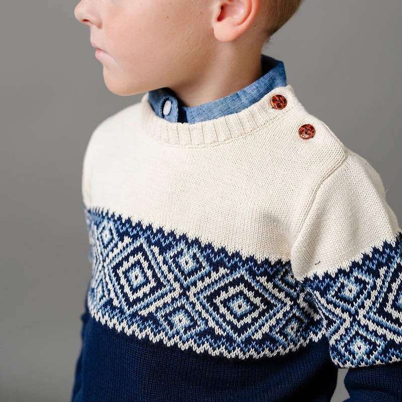 Hope & Henry Boys Organic Long Sleeve Intarsia Crew Neck Pullover Sweater with Buttons