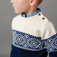 Hope & Henry Boys Organic Long Sleeve Intarsia Crew Neck Pullover Sweater with Buttons