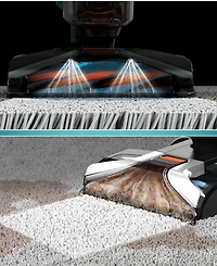 Shark CarpetXpert with Stainstriker pet deep carpet cleaner, built-in spot & stain cleaner