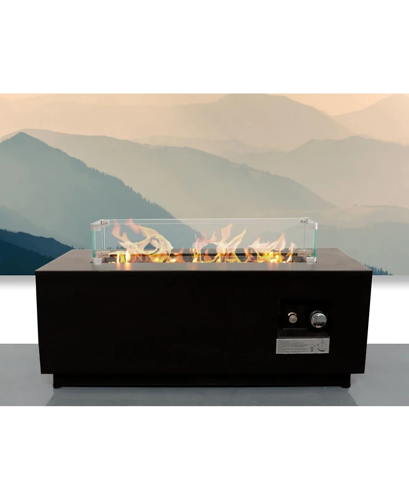 Mondawe 16" H x 42" W Steel Outdoor Fire Pit Table with Lid