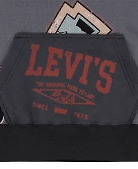 Levi's Big Boys Road Trip Pullover Hoodie